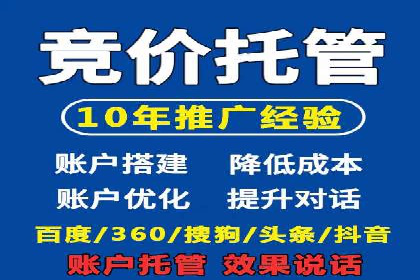 百度推广竞价全解析：某电商平台的营销策略